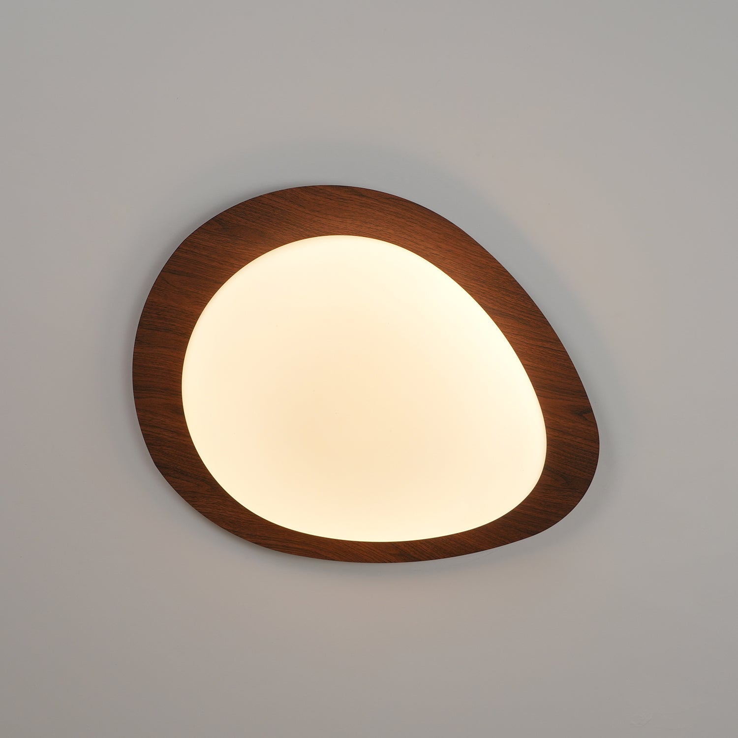 Modern Round Flush Mount Ceiling Light with Metal Rim