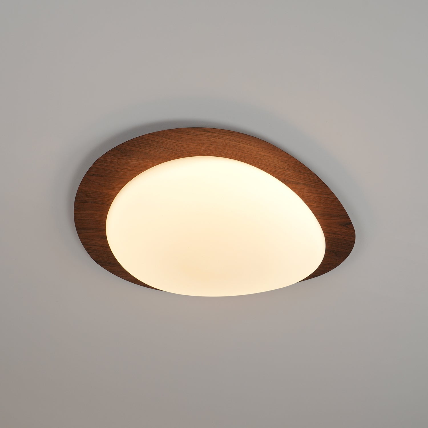 Modern Round Flush Mount Ceiling Light with Metal Rim