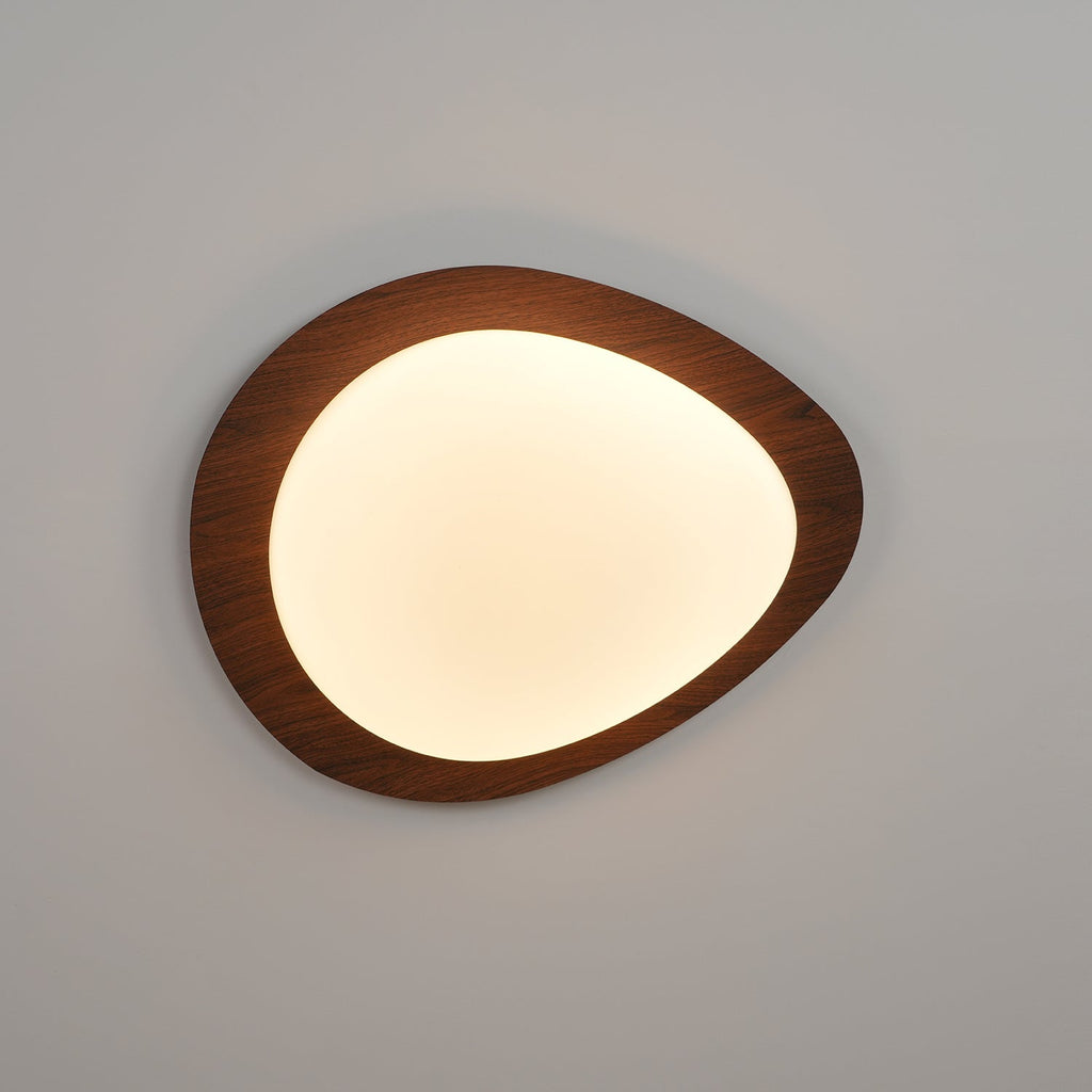 Modern Round Flush Mount Ceiling Light with Metal Rim
