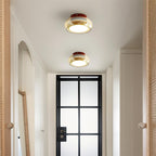 Flush Mount Glass Ceiling Light with LED Light