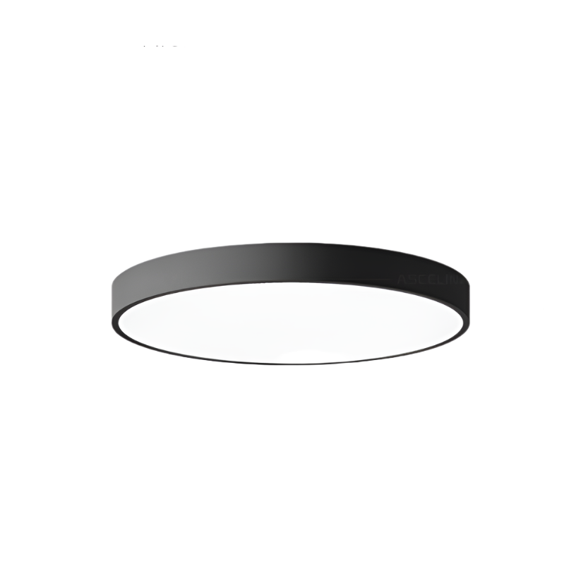 Modern Round Flush Mount Ceiling Light with Slim Frame LED Light