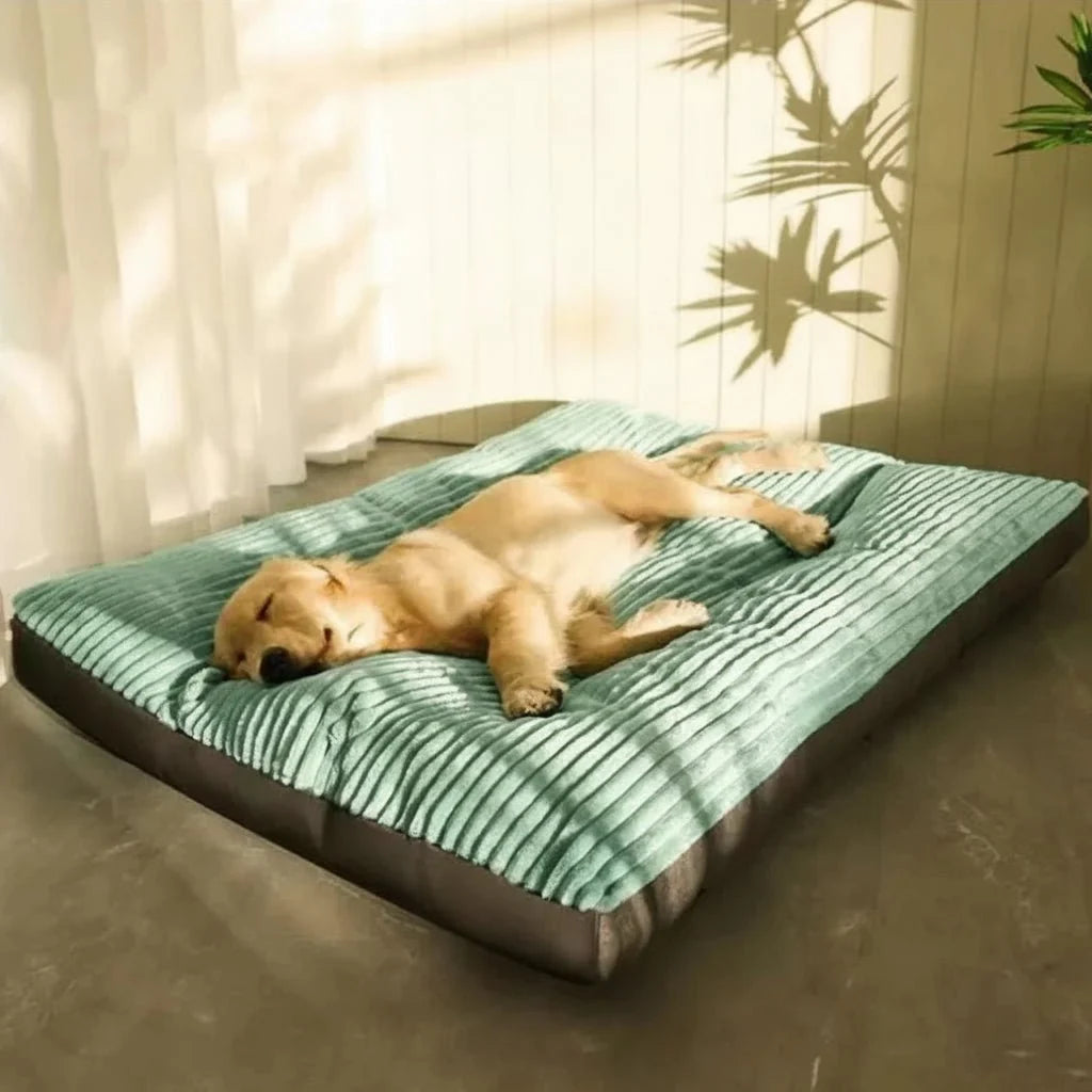 Orthopedic Dog Bed Soft Plush Corduroy Dog Mattress with Supportive Foam Core Washable Pet Bed for Small Medium and Large Dogs
