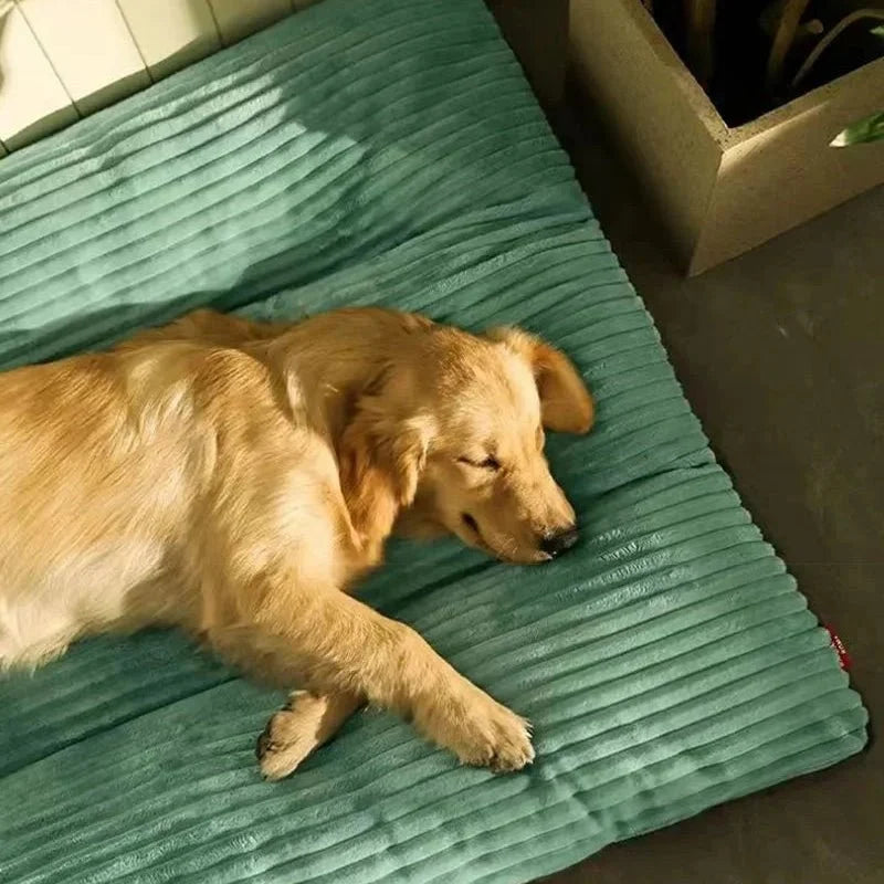 Orthopedic Dog Bed Soft Plush Corduroy Dog Mattress with Supportive Foam Core Washable Pet Bed for Small Medium and Large Dogs
