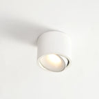 Modern Iron Flush Mount Ceiling Light With Built-In LED — Harbor Light Co.