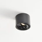 Modern Iron Flush Mount Ceiling Light With Built-In LED in Black — Harbor Light Co.