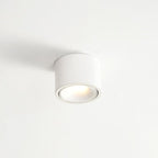 Modern Iron Flush Mount Ceiling Light With Built-In LED — Harbor Light Co.