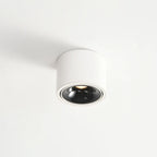 Modern Iron Flush Mount Ceiling Light With Built-In LED — Harbor Light Co.