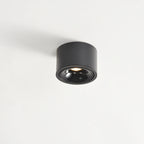 Modern Iron Flush Mount Ceiling Light With Built-In LED — Harbor Light Co.