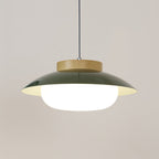 Mid-Century Metal Dome Pendant Light with Opal Glass Diffuser