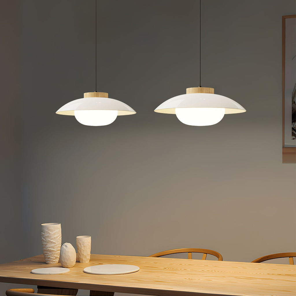 Mid-Century Metal Dome Pendant Light with Opal Glass Diffuser