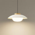 Mid-Century Metal Dome Pendant Light with Opal Glass Diffuser
