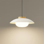 Mid-Century Metal Dome Pendant Light with Opal Glass Diffuser