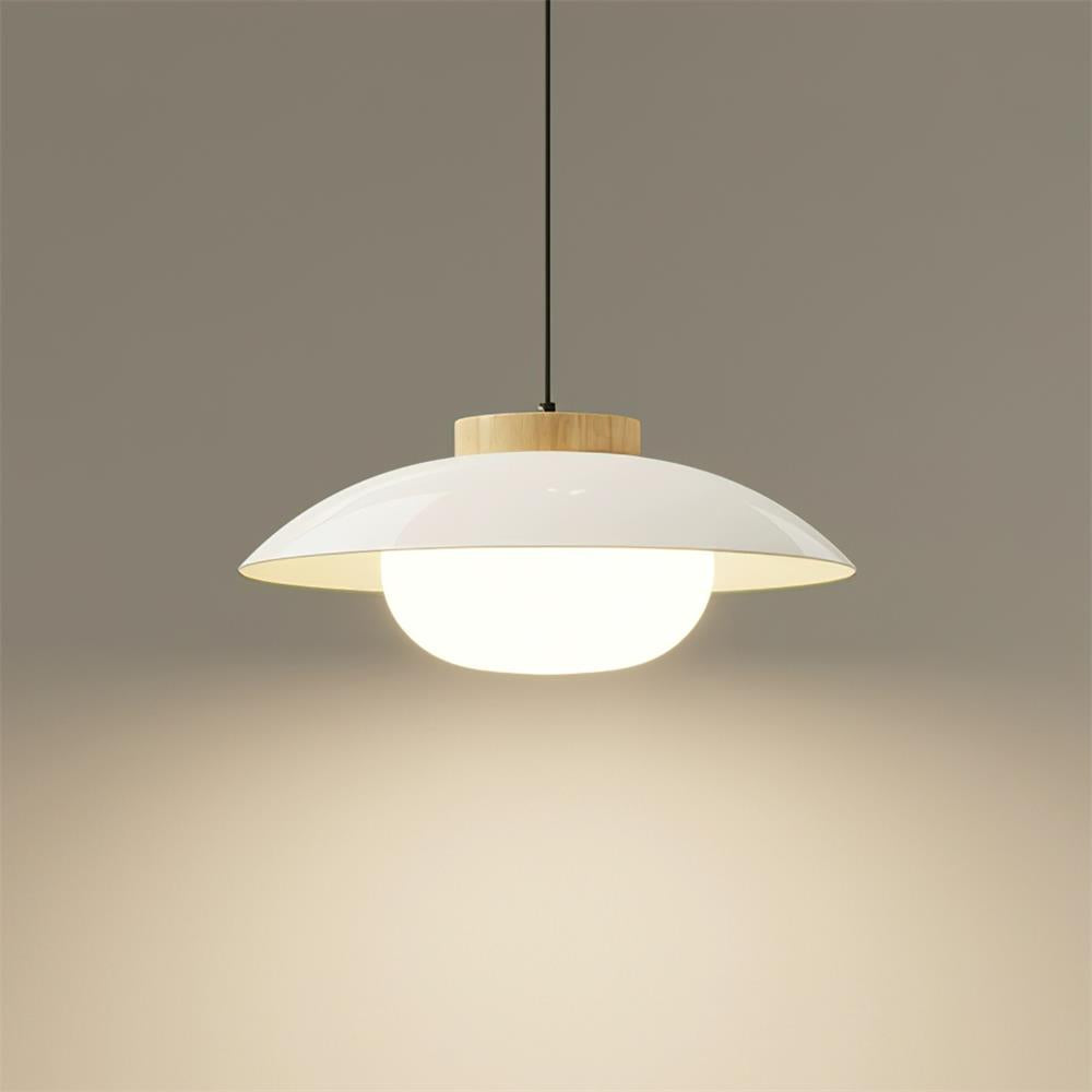Mid-Century Metal Dome Pendant Light with Opal Glass Diffuser