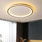 Modern Acrylic Flush Mount Ceiling Light for Living Room — Harbor Light Co.