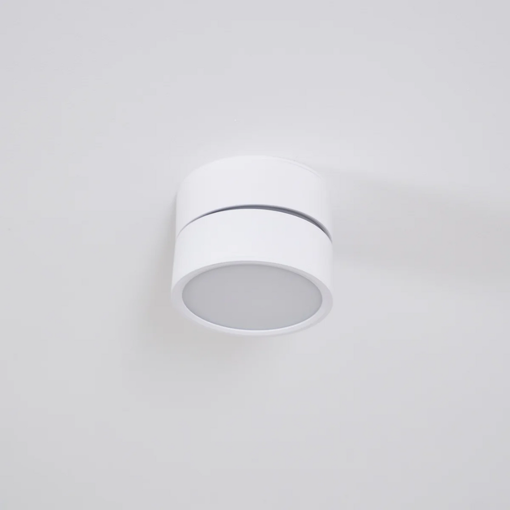 Adjustable Surface-Mount Spotlight Ceiling Light