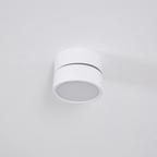Adjustable Surface-Mount Spotlight Ceiling Light