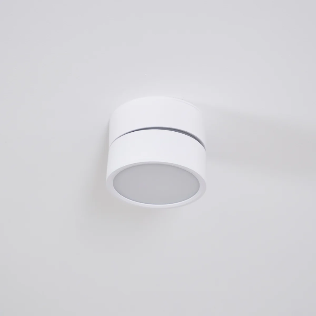 Adjustable Surface-Mount Spotlight Ceiling Light