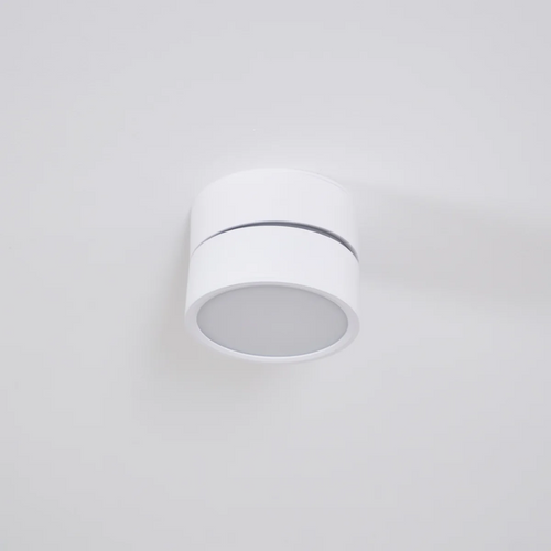 Adjustable Surface-Mount Spotlight Ceiling Light