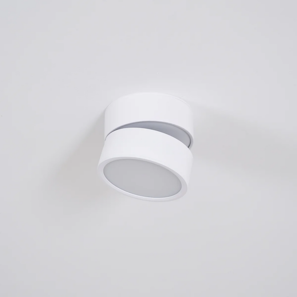 Adjustable Surface-Mount Spotlight Ceiling Light