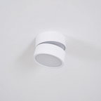 Adjustable Surface-Mount Spotlight Ceiling Light