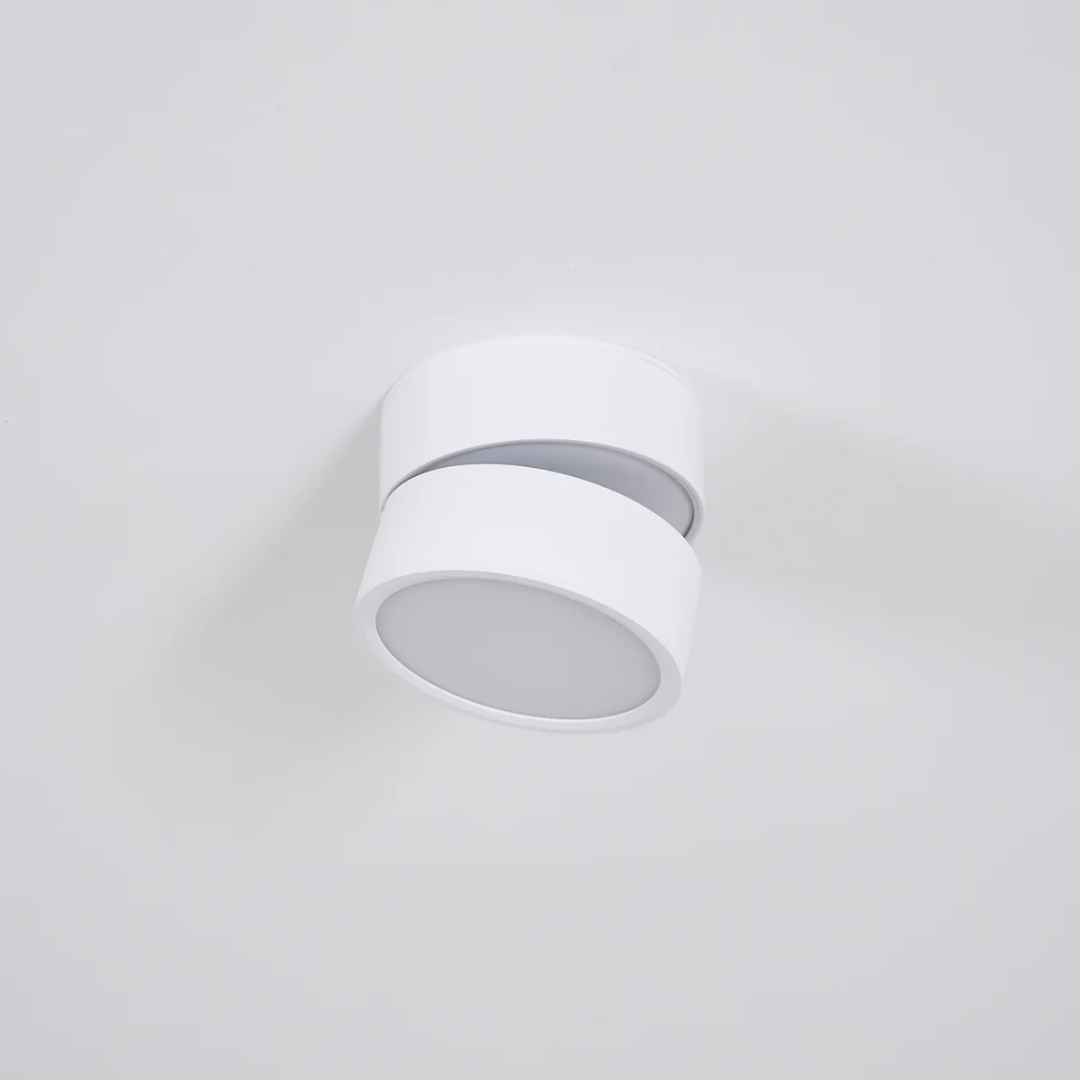 Adjustable Surface-Mount Spotlight Ceiling Light
