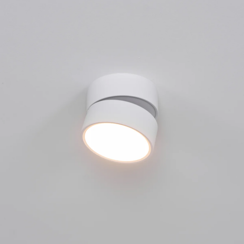 Adjustable Surface-Mount Spotlight Ceiling Light