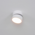 Adjustable Surface-Mount Spotlight Ceiling Light