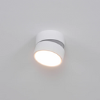 Adjustable Surface-Mount Spotlight Ceiling Light