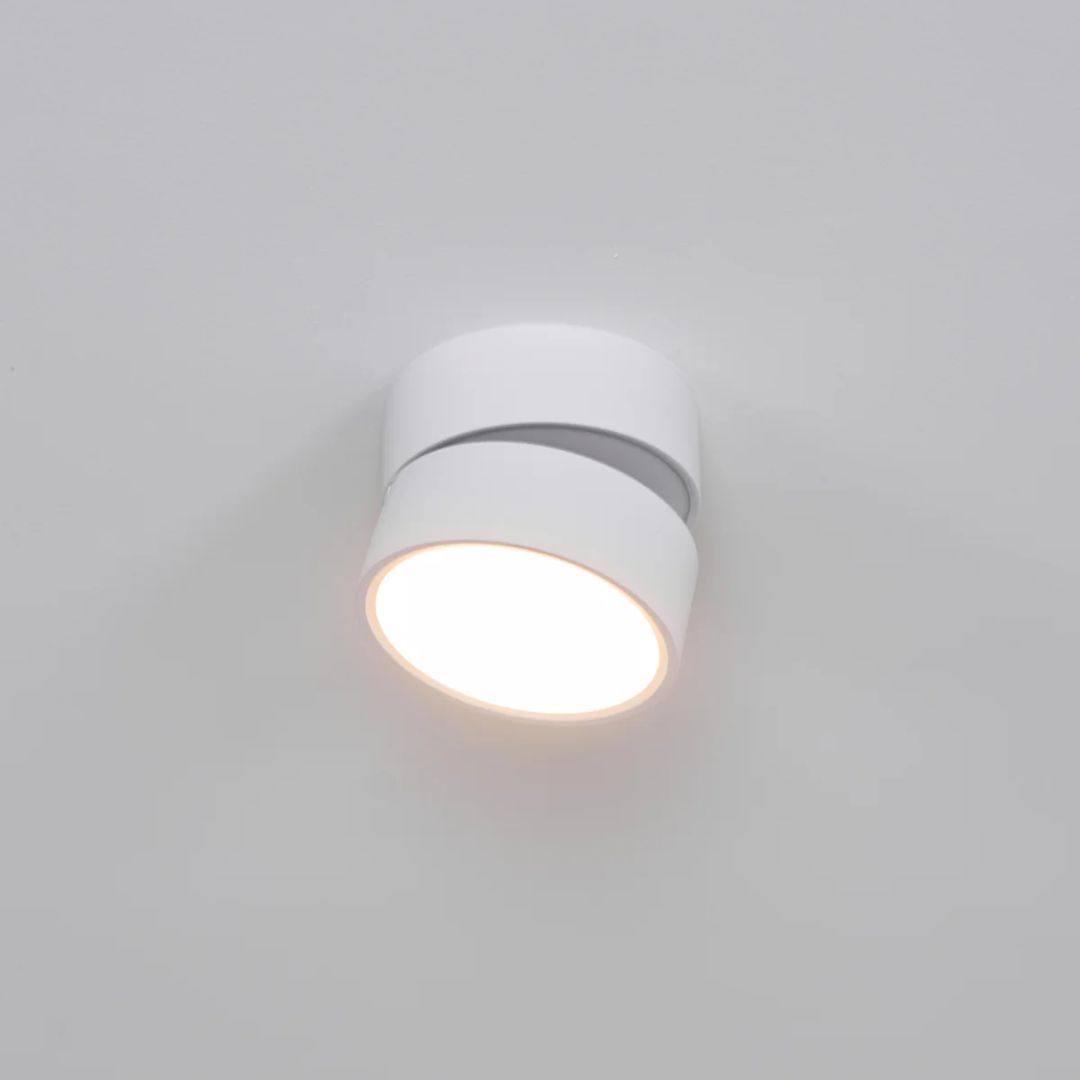 Adjustable Surface-Mount Spotlight Ceiling Light