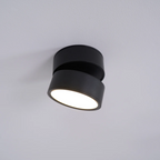 Adjustable Surface-Mount Spotlight Ceiling Light