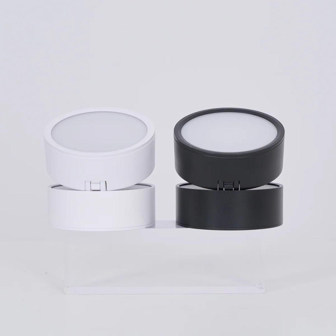 Adjustable Surface-Mount Spotlight Ceiling Light