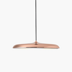 Scandinavian Slim Disc Pendant Light LED Light for Dining Table