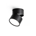 Adjustable Surface-Mount Spotlight Ceiling Light