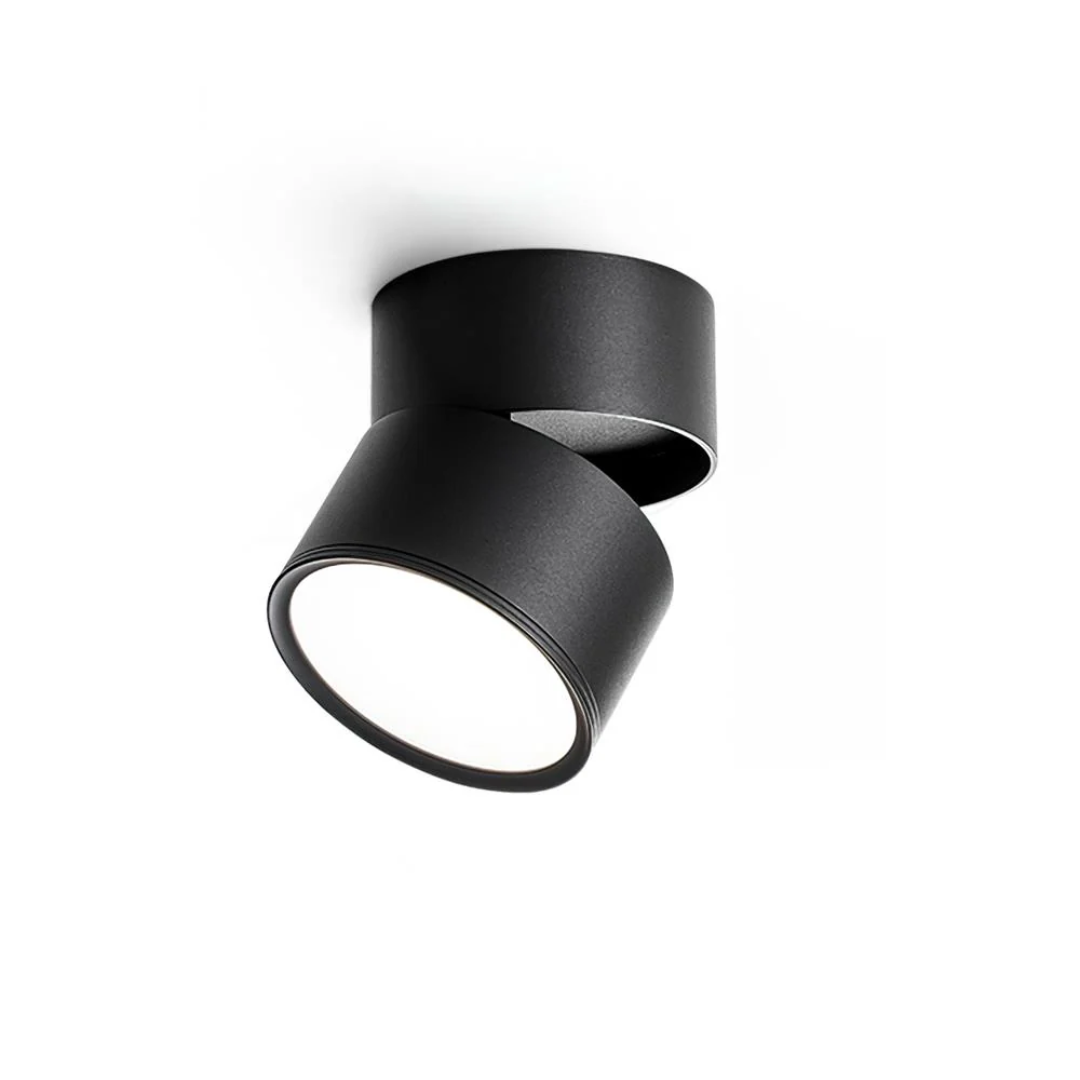 Adjustable Surface-Mount Spotlight Ceiling Light