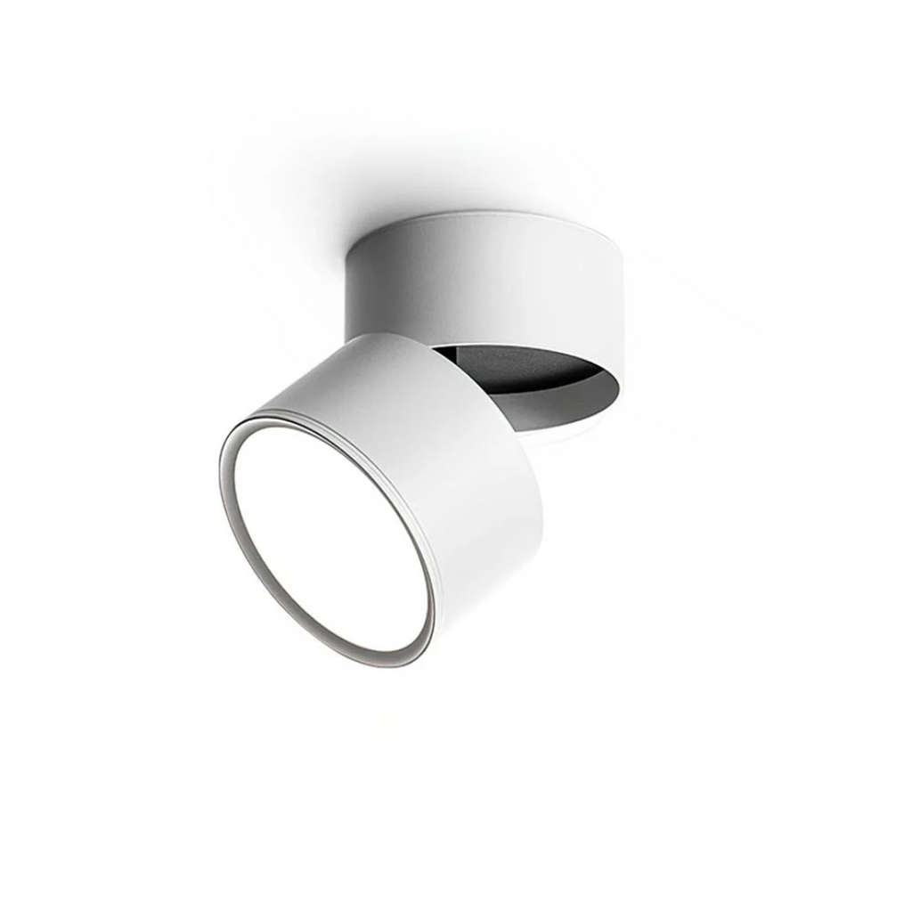 Adjustable Surface-Mount Spotlight Ceiling Light