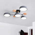 Modern  Ceiling Light with Metal Frame and Wood Accents