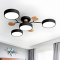 Modern  Ceiling Light with Metal Frame and Wood Accents