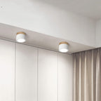 Cylinder Surface Mount Ceiling Light with LED