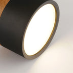 Cylinder Surface Mount Ceiling Light with LED