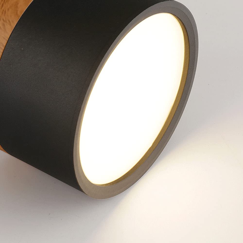 Cylinder Surface Mount Ceiling Light with LED