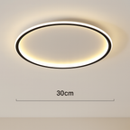 Modern Acrylic Flush Mount Ceiling Light for Living Room — Harbor Light Co.