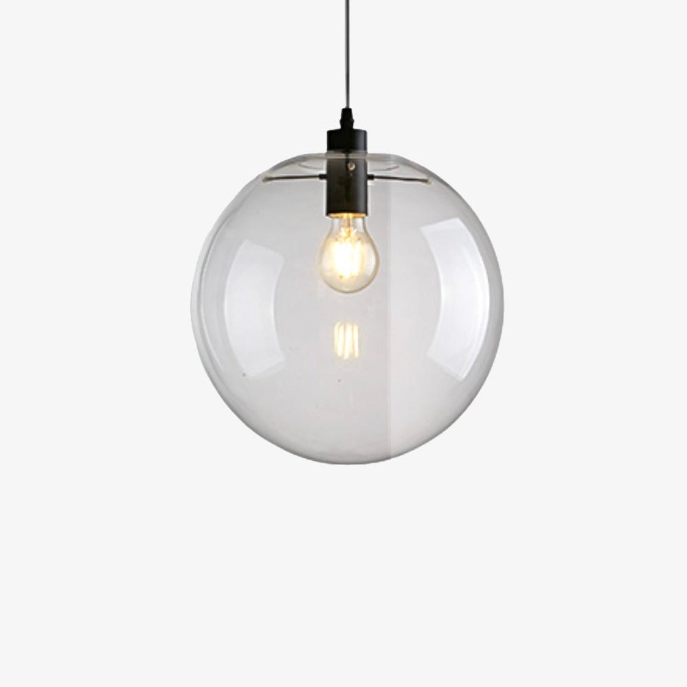 Clear Glass Globe Pendant Light with Metal Disc Canopy and Adjustable Cord