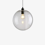 Clear Glass Globe Pendant Light with Metal Disc Canopy and Adjustable Cord