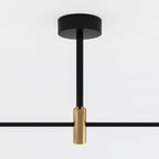 Modern Linear Ceiling Light with Black and Brass Finish