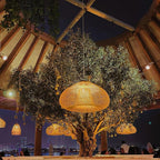 Handwoven Rattan Pendant Light with Woven Dome Shade for Dining Room