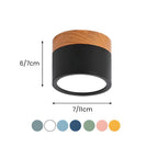 Cylinder Surface Mount Ceiling Light with LED