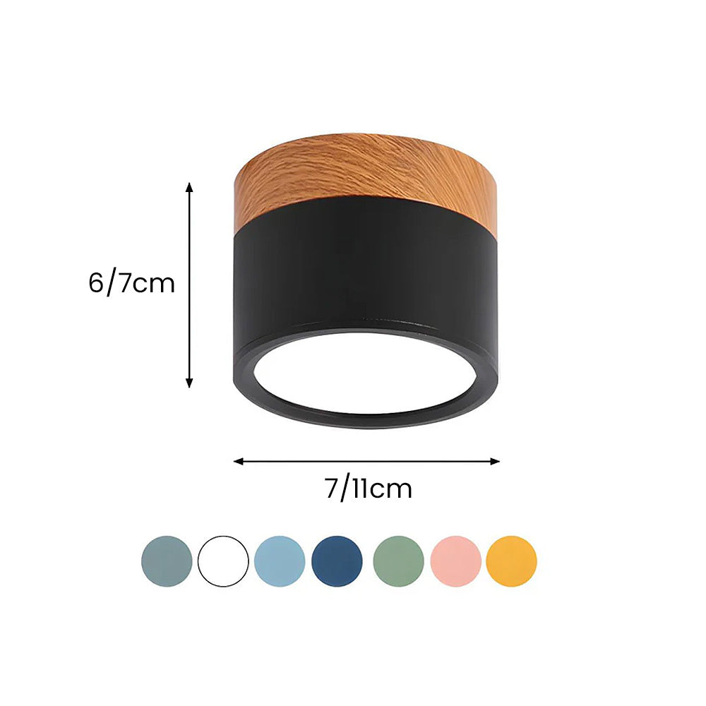 Cylinder Surface Mount Ceiling Light with LED