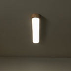 Modern Wood Linear Flush Mount Ceiling Light With Remote Dimming — Harbor Light Co.