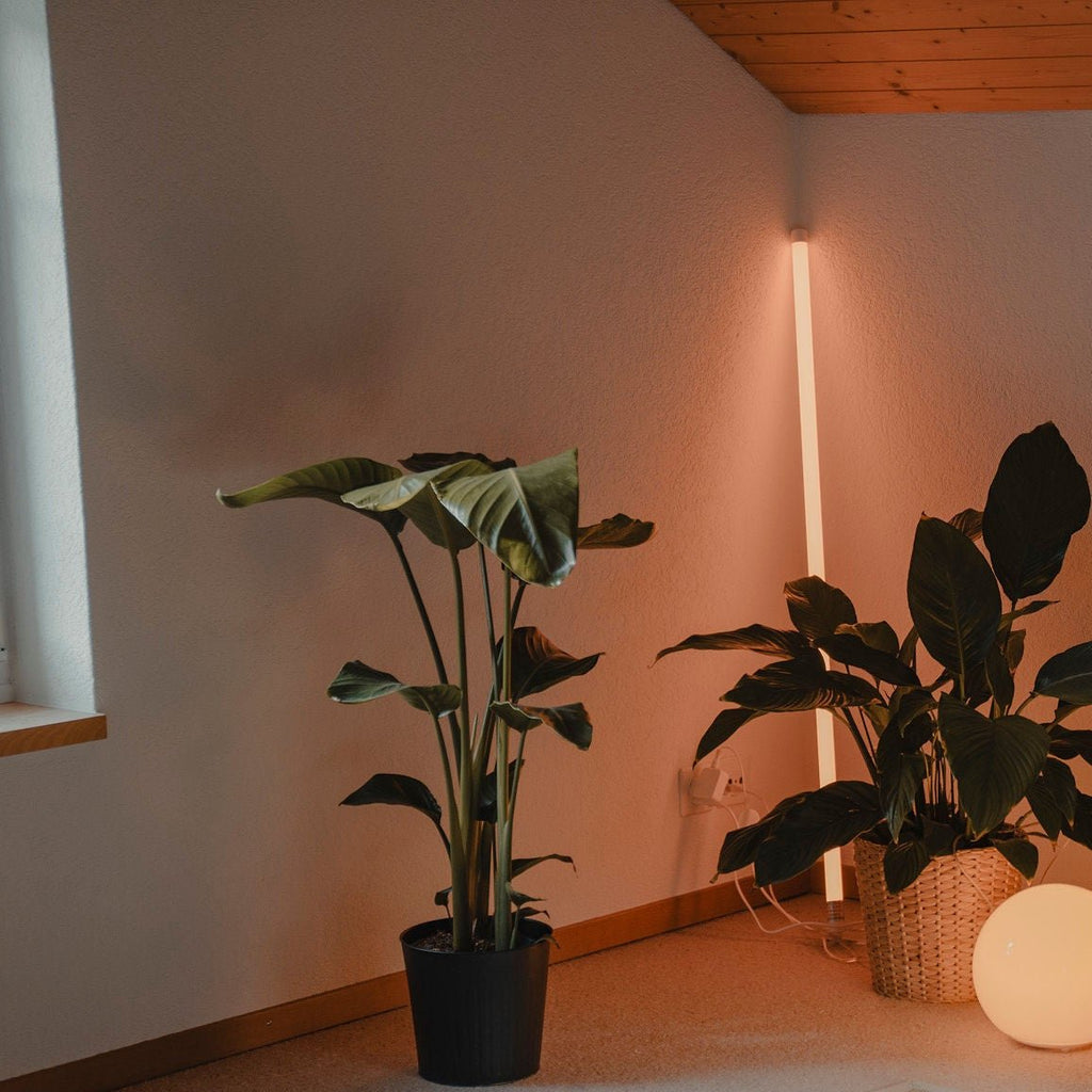 Neon Tube RGB Floor Lamp with Color Changing Light