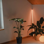 Neon Tube RGB Floor Lamp with Color Changing Light